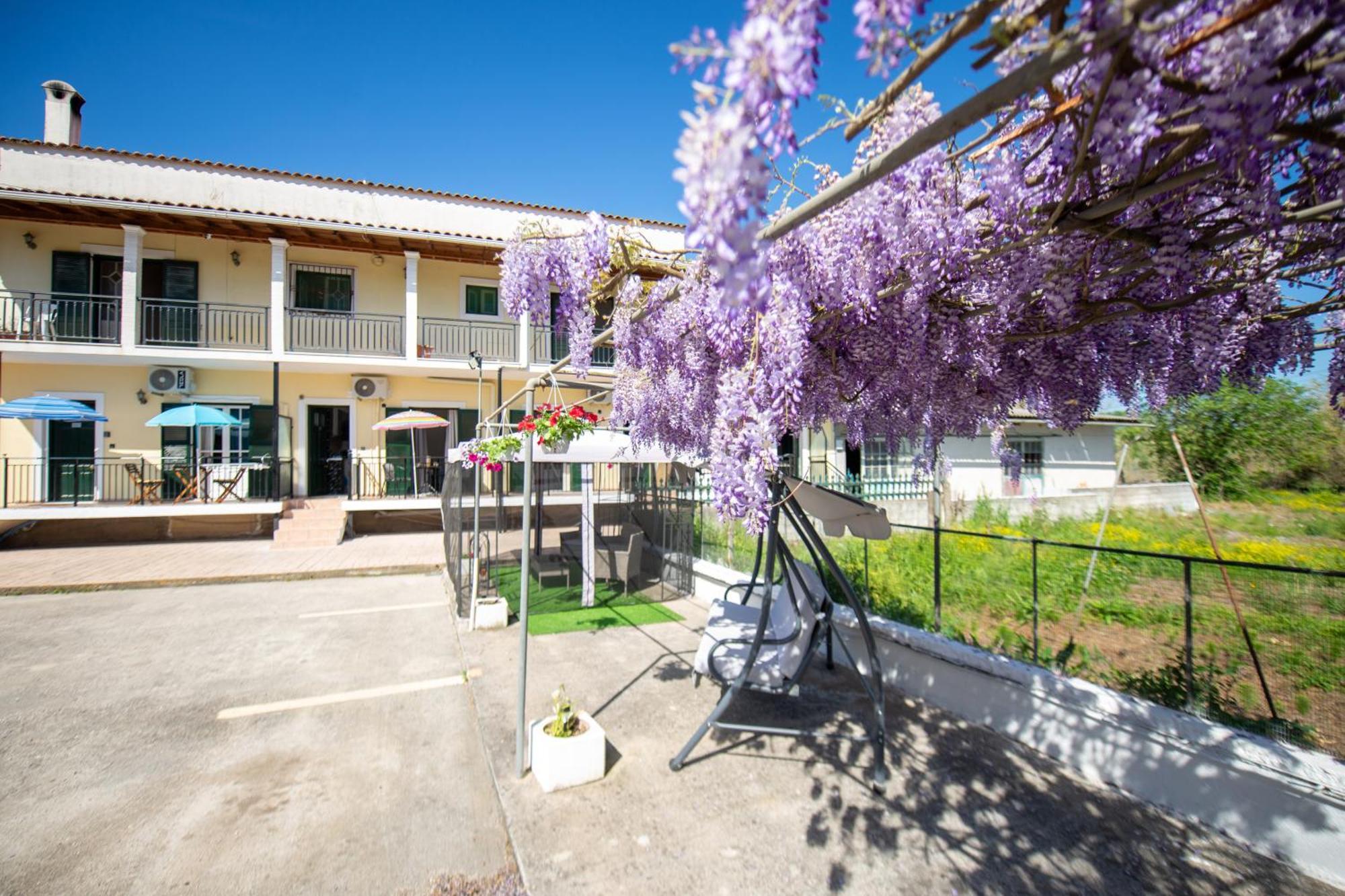 Ionian Luxury Apartments Perama  Esterno foto